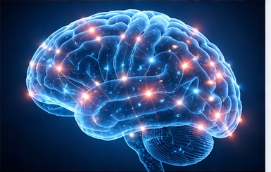 Neurology